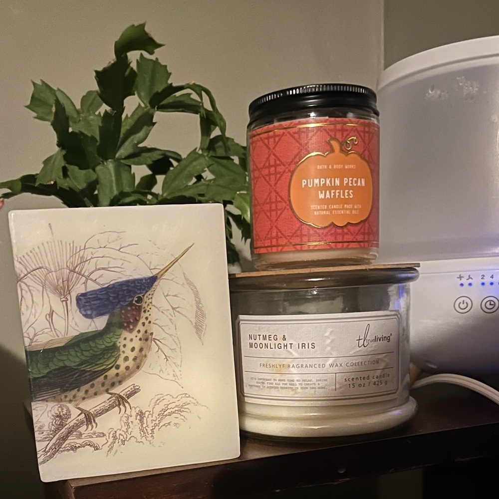 Candles (used and unused)